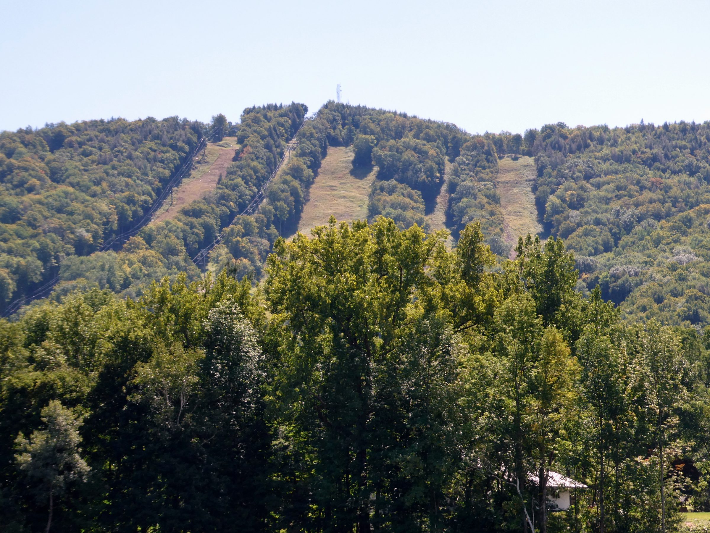 Cleared ski trails and chairlift lines run up a forested hillside at Berkshire East in Charlemont, Massachusetts, with green trees in the foreground and a pale sky above